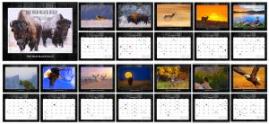 2017 Wild Life Calendar By Kadek Susanto